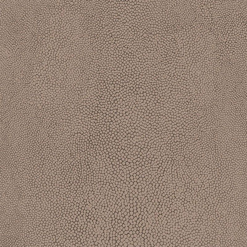 MKP005540000381-1