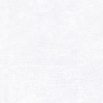 MKP005540003790-1