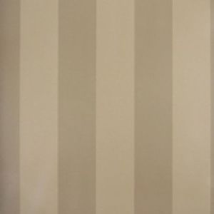 Papel De Parede Listrado Classic Stripes Ct889011 Vinílico - Rolo: 10m X 0,53m
