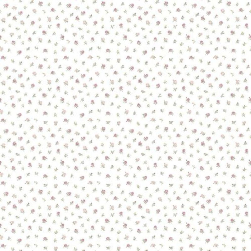 MKP005540011019-1