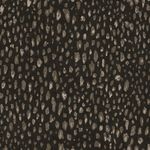 MKP005540010014-1