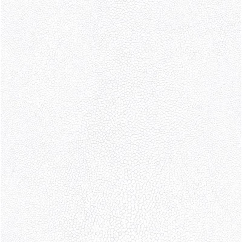 MKP005540010448-1
