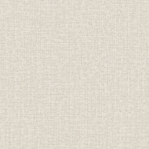 Papel De Parede Tissé Textura Bege 25464