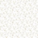 MKP005540001939-1