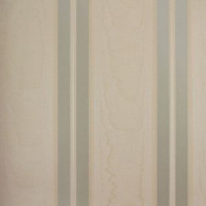 Papel De Parede Listrado Classic Stripes Ct889112 Vinílico - Rolo 10m X 0,53m