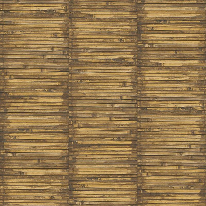 MKP005540005201-1