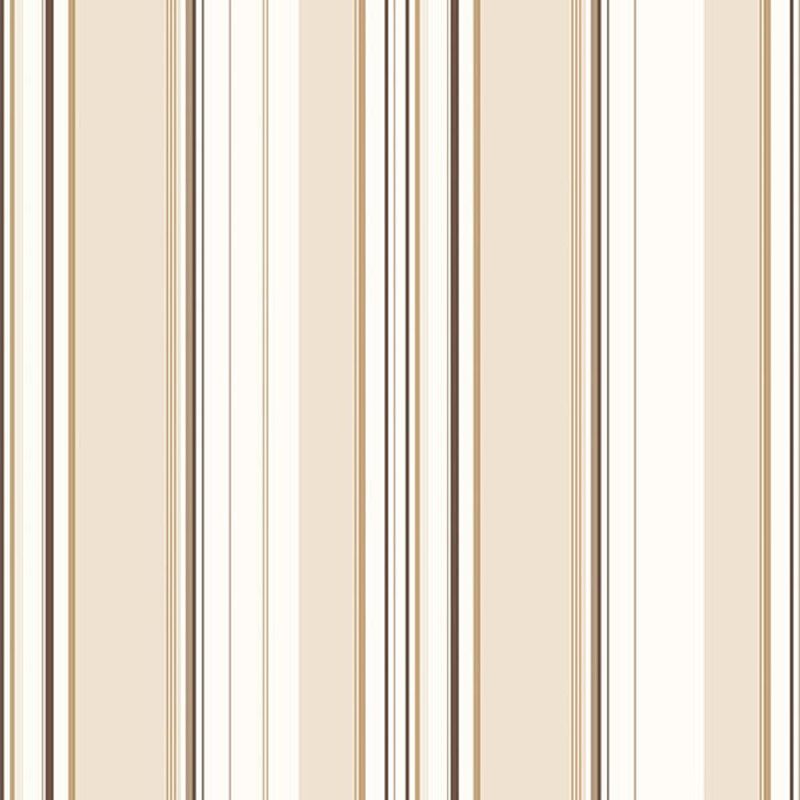 MKP005540005206-1