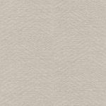 MKP005540008419-1