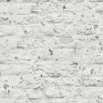 MKP005540006772-1