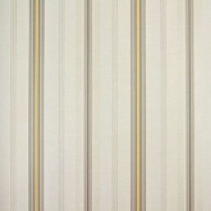 Papel De Parede Listrado Classic Stripes Ct889088 Vinílico - Rolo 10m X 0,53m