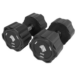 Par De Dumbbells 26kg Lion Monobloco Em Aço Maciço Injetado
