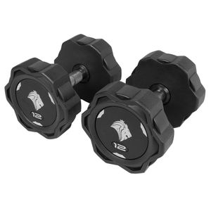 Par De Dumbbells 12kg Lion Monobloco Em Aço Maciço Injetado