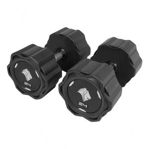Par De Dumbbells 24kg Lion Monobloco Em Aço Maciço Injetado