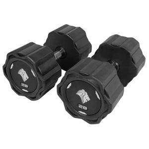 Par De Dumbbells 28kg Lion Monobloco Em Aço Maciço Injetado