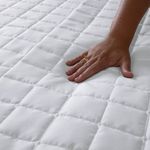 MKP005586003666-2