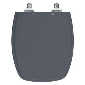 Assento Sanitário Soft Close Laguna Cinza Plus Para Vaso Hervy