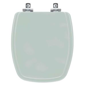 Assento Sanitário Soft Close Viseu Verde Para Vaso Luzarte