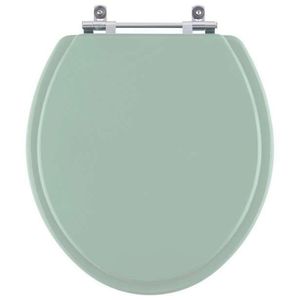 Tampa De Vaso Sanitário Evolution Verde Claro Para Bacia Santamarina