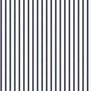 Papel De Parede Smart Stripes 2 Listras Horizontais G67535 - Rolo 10m X 0,53m