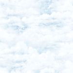 MKP005540003354-1