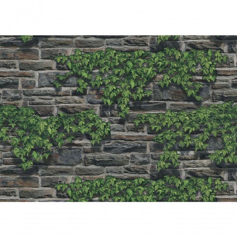 MKP005540003665-1