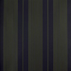 Papel De Parede Listrado Classic Stripes Ct889044 Vinílico - Rolo 10m X 0,53m