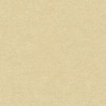 MKP005540011673-2