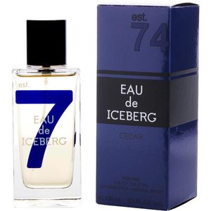 Perfume Masculino Iceberg Eau De Cedar Edt Spray 100 ml