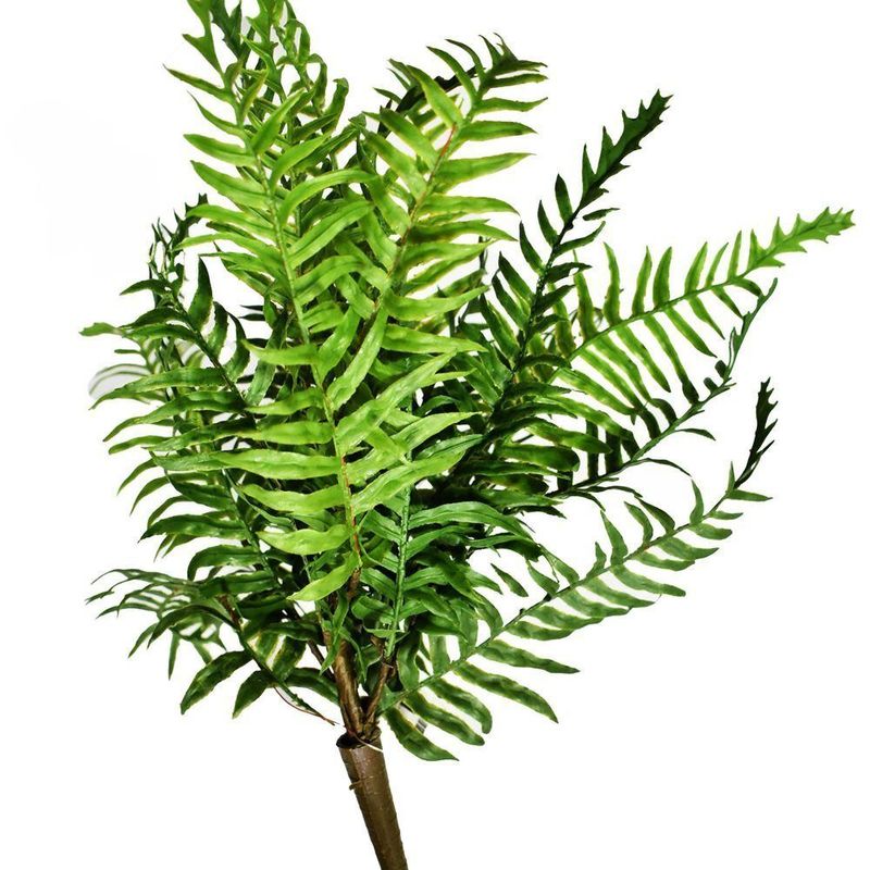 MKP005643006103-2