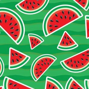 Tnt Estampado Melancia - 5 Metros
