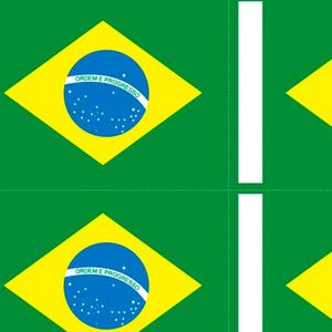 Tnt Estampado Mini Bandeira Do Brasil - 5 Metros