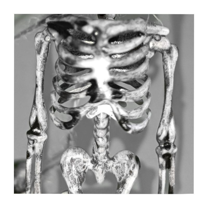 MKP005944004429-4