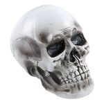 MKP005944001716-1