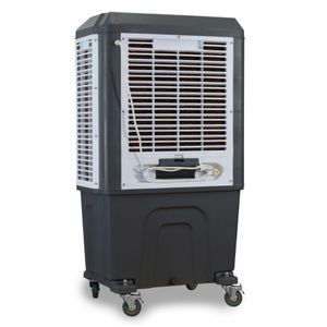 Climatizador Ultra Ar Frio 55 Litros 250w Branco Com Cinza 220 V