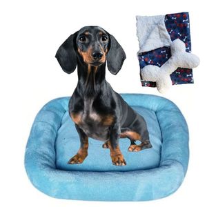Cama Bigata G Tecido Soft Com Osso E Mantinha Kit 3 Peças Azul Claro