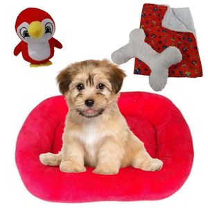 Cama Bigata M Tecido Soft Com Osso Pelucia E Manta Kit 4 Peças Vermelho