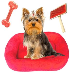 Kit Cama Pet Luxo 40x40 Com Osso Massageador E Rasqueadeira Vermelho