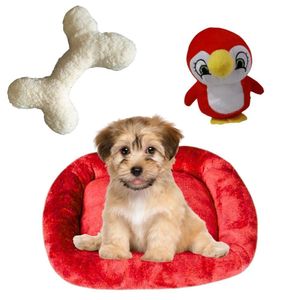 Kit Cama Pet Bigata M Luxo Confortavel Com Osso E Pelucia Vermelho