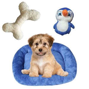 Kit Cama Pet Bigata M Luxo Confortavel Com Osso E Pelucia Azul Marinho