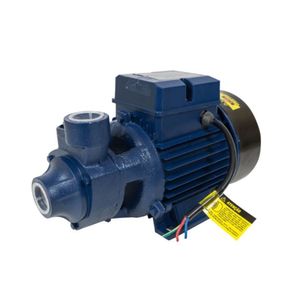Motobomba Periférica Eletroplas Ics-100ab Bivolt
