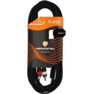 Cabo De áudio Player P2 X Rca 5m Preto Hayonik