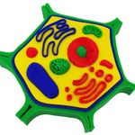 MKP003334002898-1
