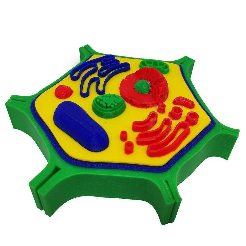 MKP003334002898-5