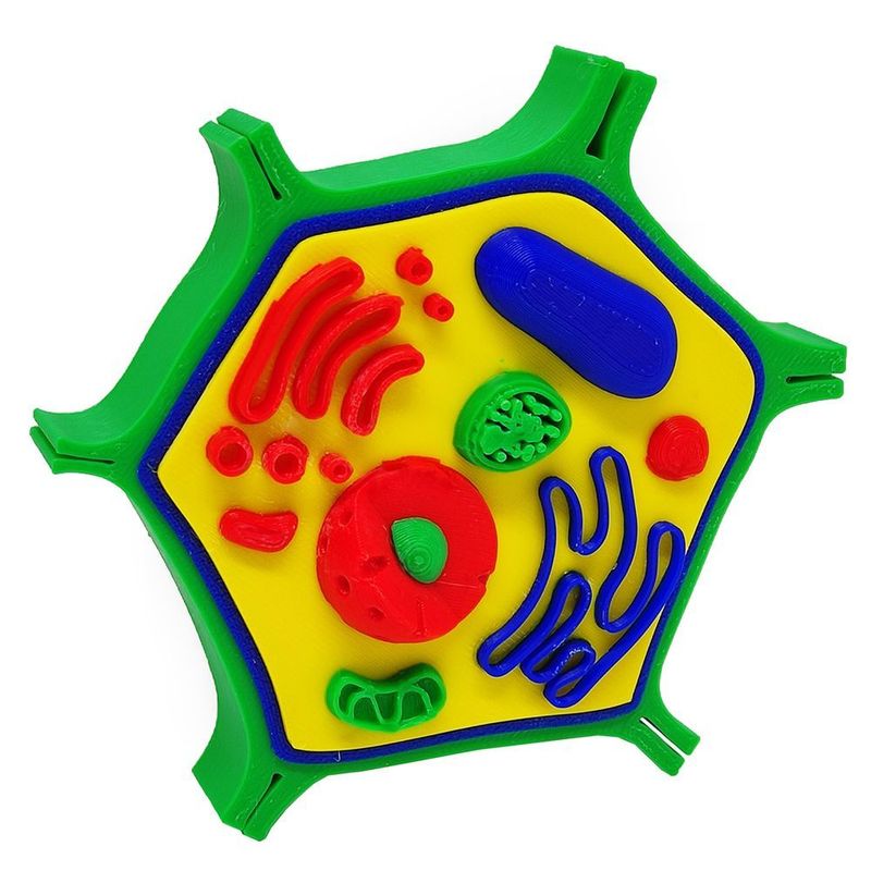 MKP003334002898-6