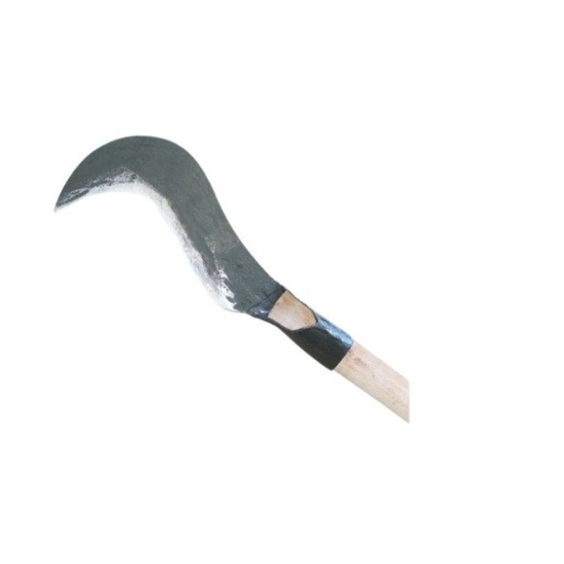 MKP004939001459-1