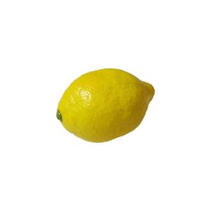 Super Real Latex Lemon