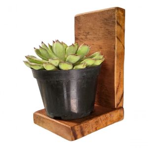 Floreira De Parede Pequena Porta Vaso