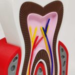 MKP003334002963-5