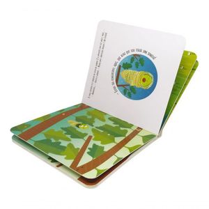 Livro Montessori Com Ciclo De Vida Da Borboleta