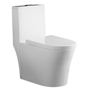 Vaso Sanitário Monobloco Kit Privada com Assento Completo Branco Esmaltado GVS55MBSFB-BR